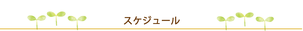 スケジュール