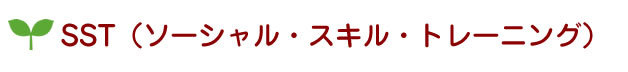 SST（ソーシャル・スキル・トレーニング）